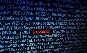 Password Security & Protection